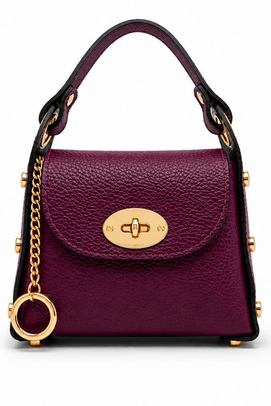 🎁 Mini Borsa Con Patta (100% off)